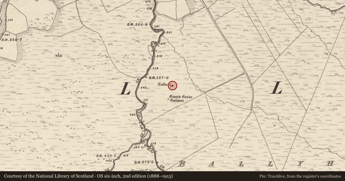 Ordnance Survey six-inch map, 2nd edition (1888–1915) covering the location of Standing stone, Baile Uí Uaithnín, County Kerry, with a pin at the register's coordinates
