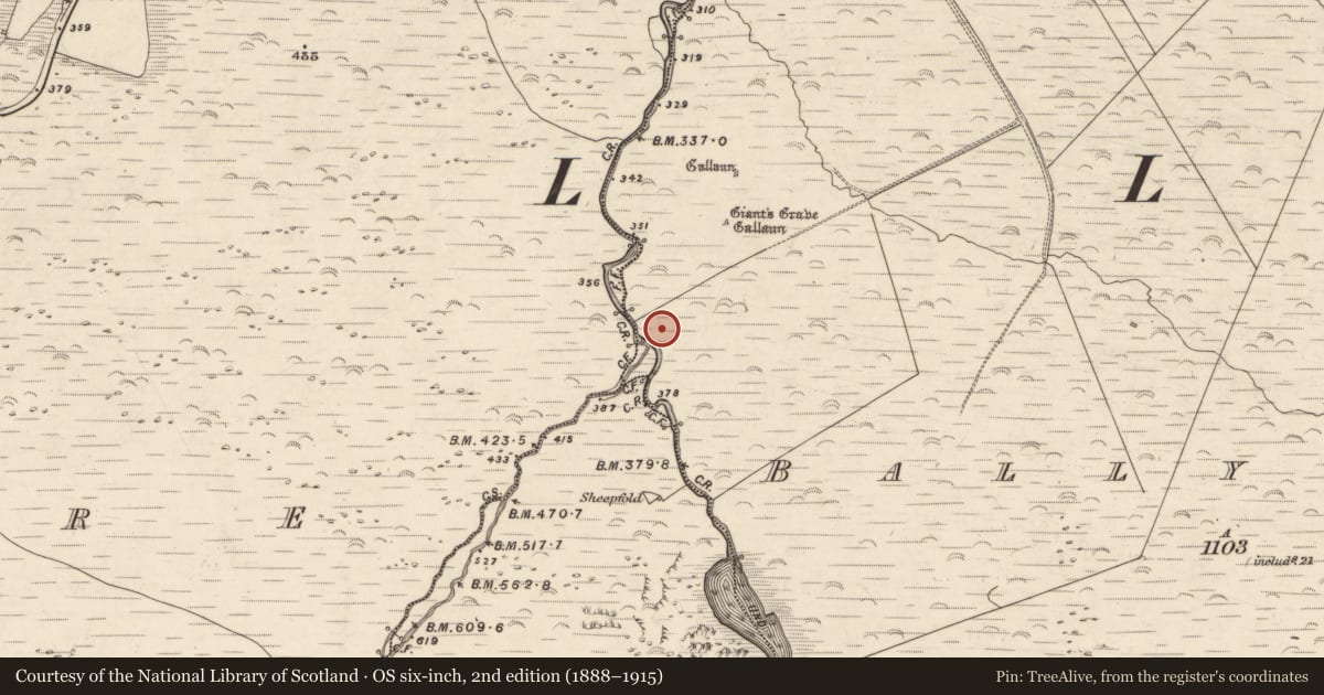 Ordnance Survey six-inch map, 2nd edition (1888–1915) covering the location of Hut site, Baile Uí Uaithnín, County Kerry, with a pin at the register's coordinates