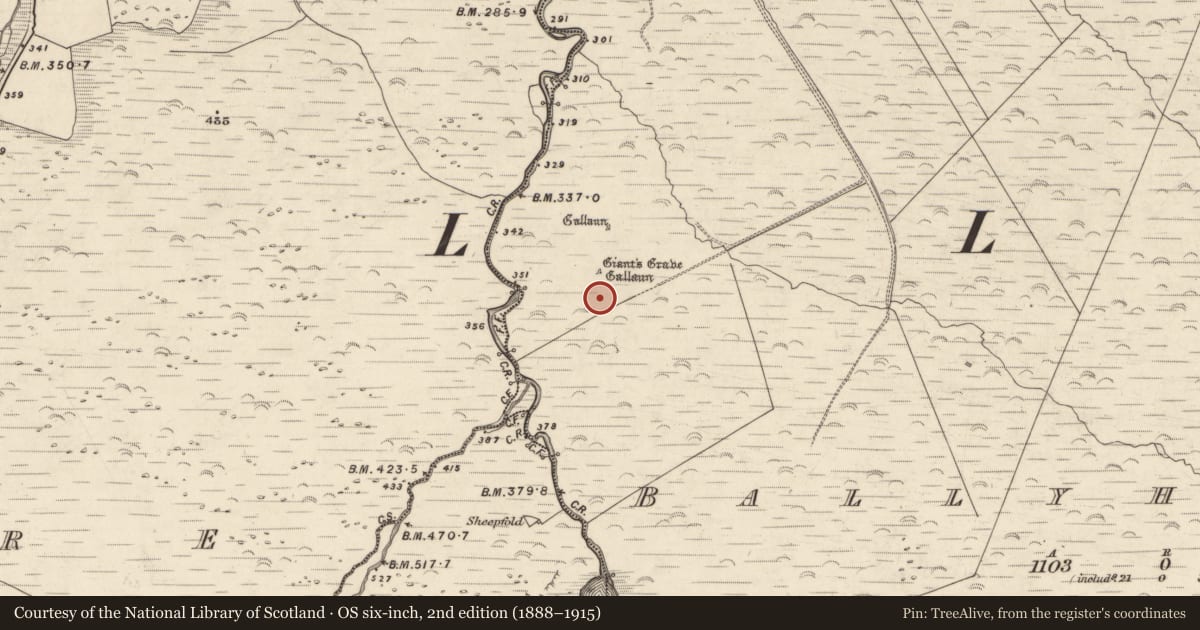 Ordnance Survey six-inch map, 2nd edition (1888–1915) covering the location of Hut site, Baile Uí Uaithnín, County Kerry, with a pin at the register's coordinates