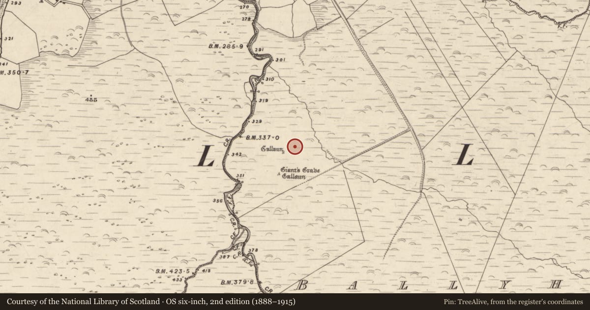 Ordnance Survey six-inch map, 2nd edition (1888–1915) covering the location of Hut site, Baile Uí Uaithnín, County Kerry, with a pin at the register's coordinates