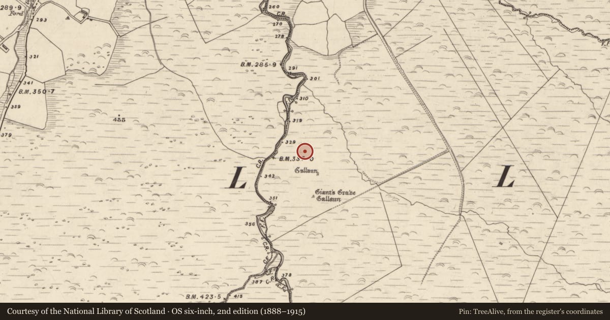 Ordnance Survey six-inch map, 2nd edition (1888–1915) covering the location of Hut site, Baile Uí Uaithnín, County Kerry, with a pin at the register's coordinates