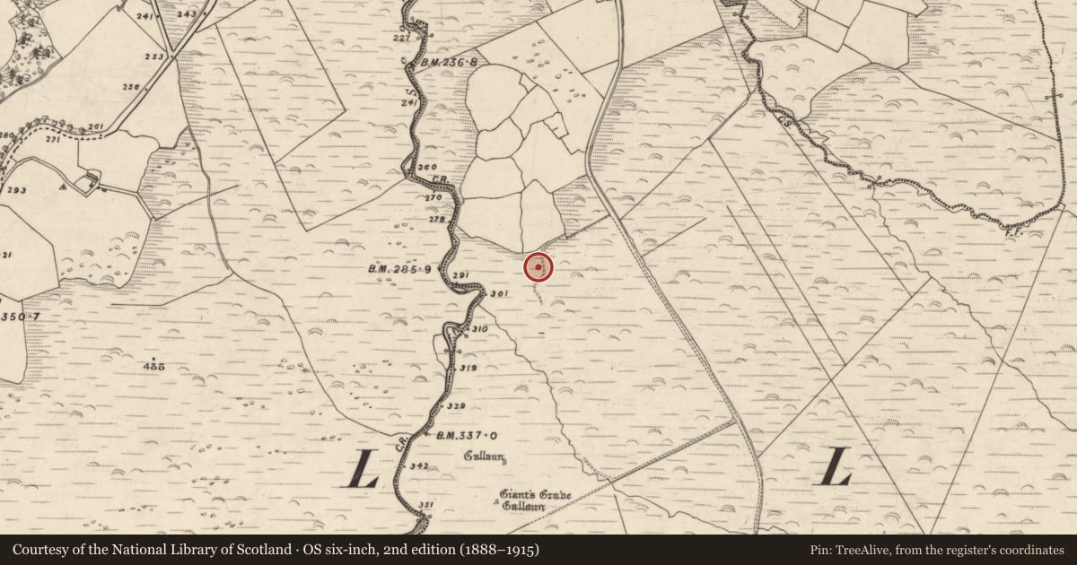 Ordnance Survey six-inch map, 2nd edition (1888–1915) covering the location of Fulacht fia, Baile Uí Uaithnín, County Kerry, with a pin at the register's coordinates