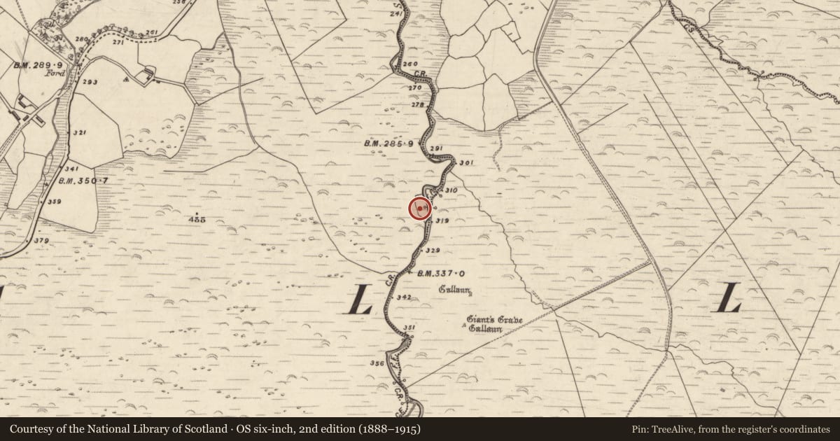 Ordnance Survey six-inch map, 2nd edition (1888–1915) covering the location of Mound, An Choill Mhór (Bar. Corca Dhuibhne), County Kerry, with a pin at the register's coordinates