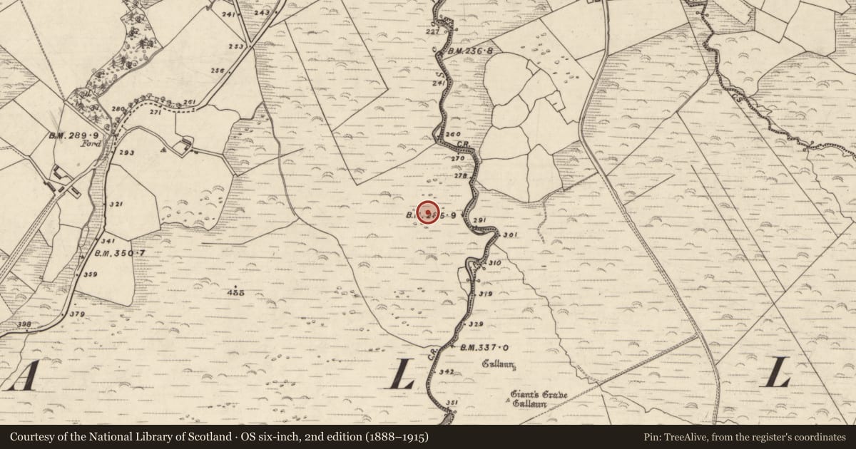 Ordnance Survey six-inch map, 2nd edition (1888–1915) covering the location of Hut site, An Choill Mhór (Bar. Corca Dhuibhne), County Kerry, with a pin at the register's coordinates