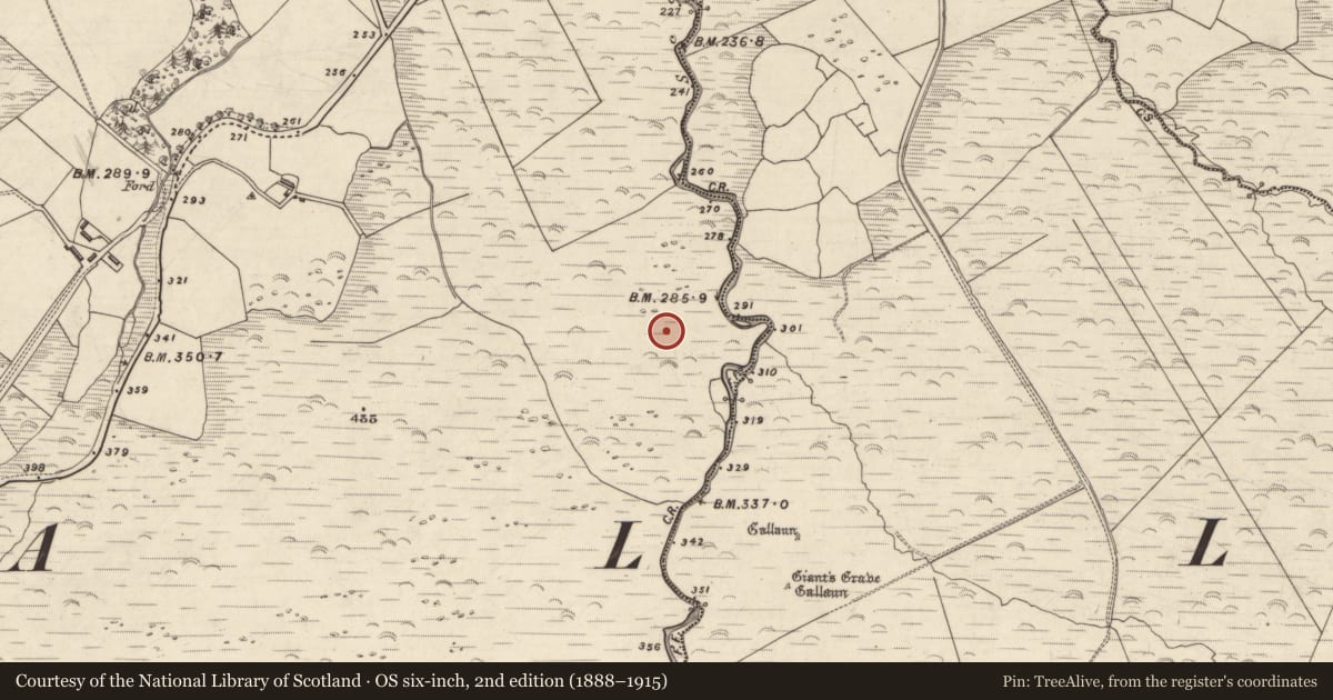 Ordnance Survey six-inch map, 2nd edition (1888–1915) covering the location of Sheepfold, An Choill Mhór (Bar. Corca Dhuibhne), County Kerry, with a pin at the register's coordinates
