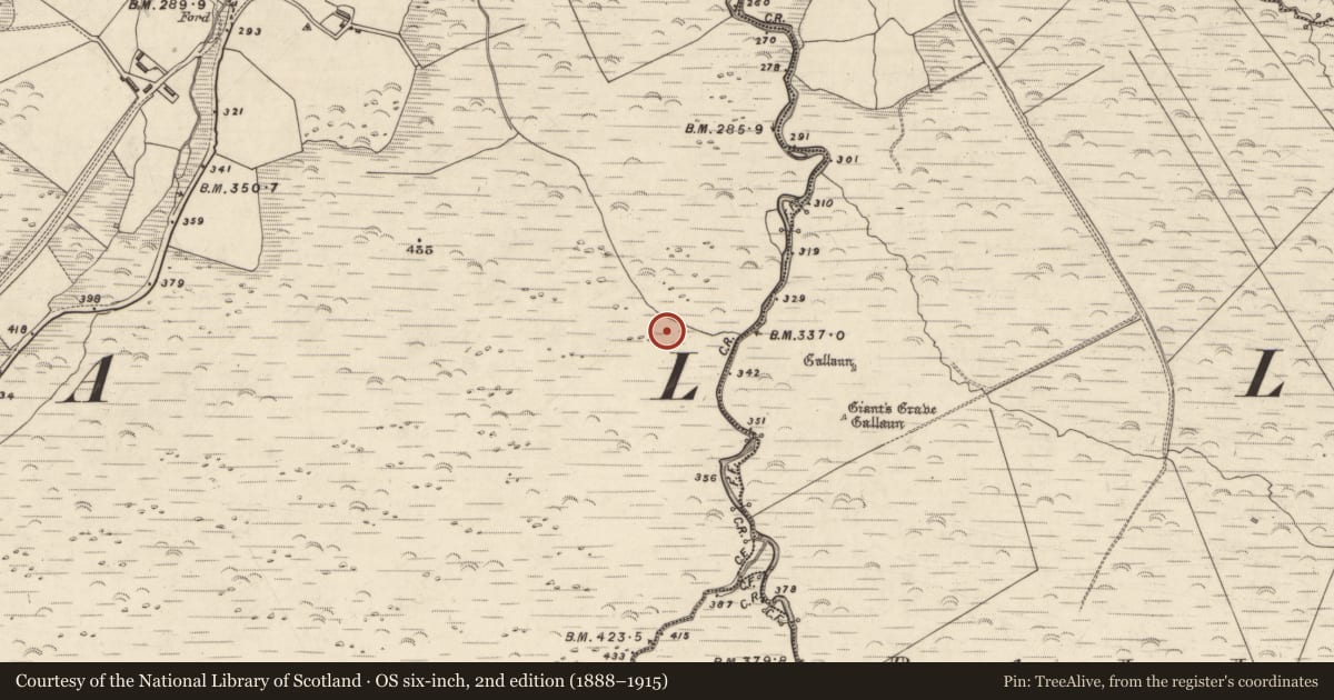 Ordnance Survey six-inch map, 2nd edition (1888–1915) covering the location of Hut site, An Choill Mhór (Bar. Corca Dhuibhne), County Kerry, with a pin at the register's coordinates