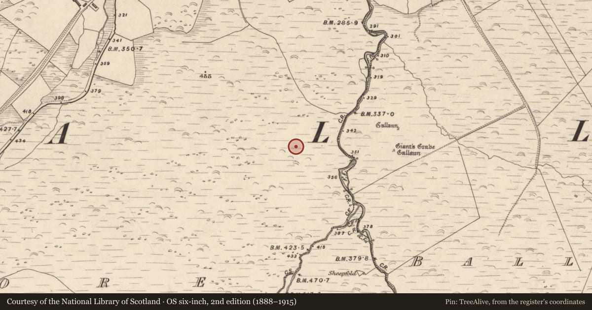 Ordnance Survey six-inch map, 2nd edition (1888–1915) covering the location of Hut site, An Choill Mhór (Bar. Corca Dhuibhne), County Kerry, with a pin at the register's coordinates