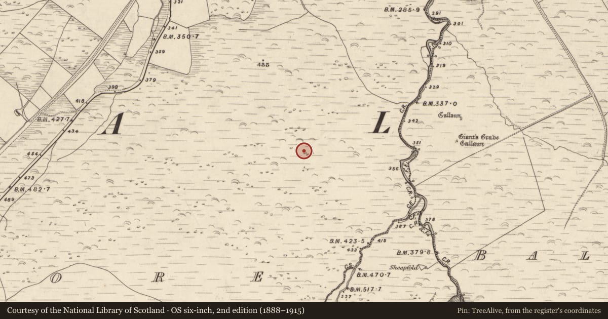 Ordnance Survey six-inch map, 2nd edition (1888–1915) covering the location of Hut site, An Choill Mhór (Bar. Corca Dhuibhne), County Kerry, with a pin at the register's coordinates