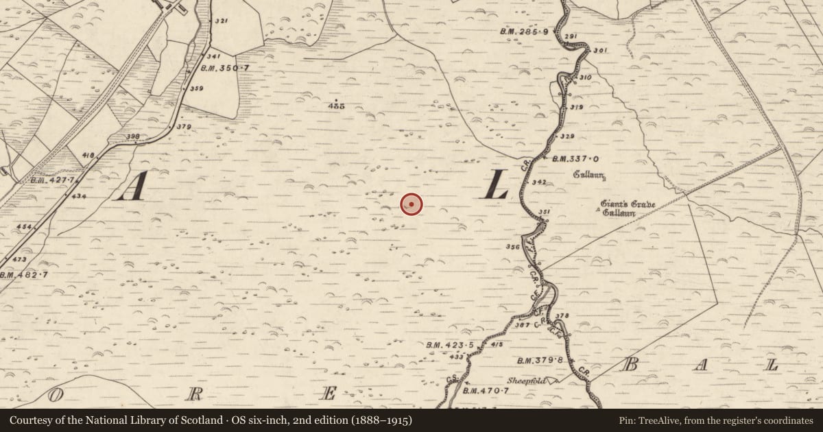 Ordnance Survey six-inch map, 2nd edition (1888–1915) covering the location of Structure, An Choill Mhór (Bar. Corca Dhuibhne), County Kerry, with a pin at the register's coordinates