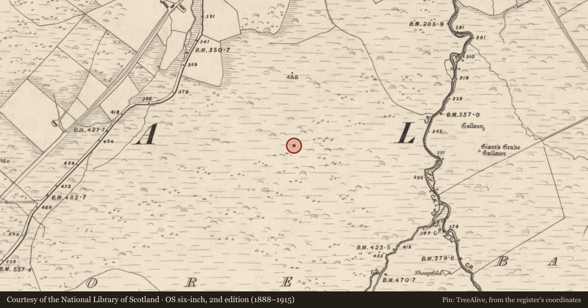 Ordnance Survey six-inch map, 2nd edition (1888–1915) covering the location of Megalithic structure, An Choill Mhór (Bar. Corca Dhuibhne), County Kerry, with a pin at the register's coordinates