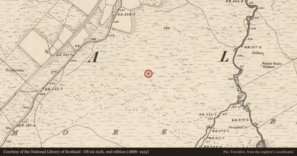 Ordnance Survey six-inch map, 2nd edition (1888–1915) covering the location of Enclosure, An Choill Mhór (Bar. Corca Dhuibhne), County Kerry, with a pin at the register's coordinates