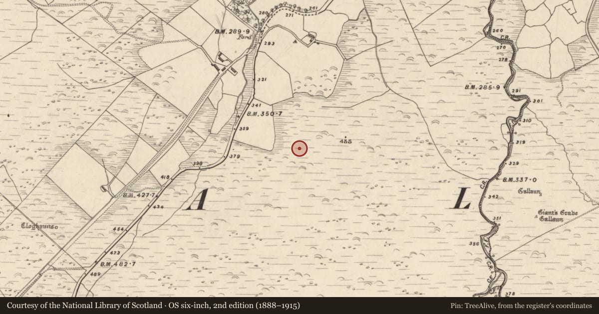 Ordnance Survey six-inch map, 2nd edition (1888–1915) covering the location of Enclosure, An Choill Mhór (Bar. Corca Dhuibhne), County Kerry, with a pin at the register's coordinates