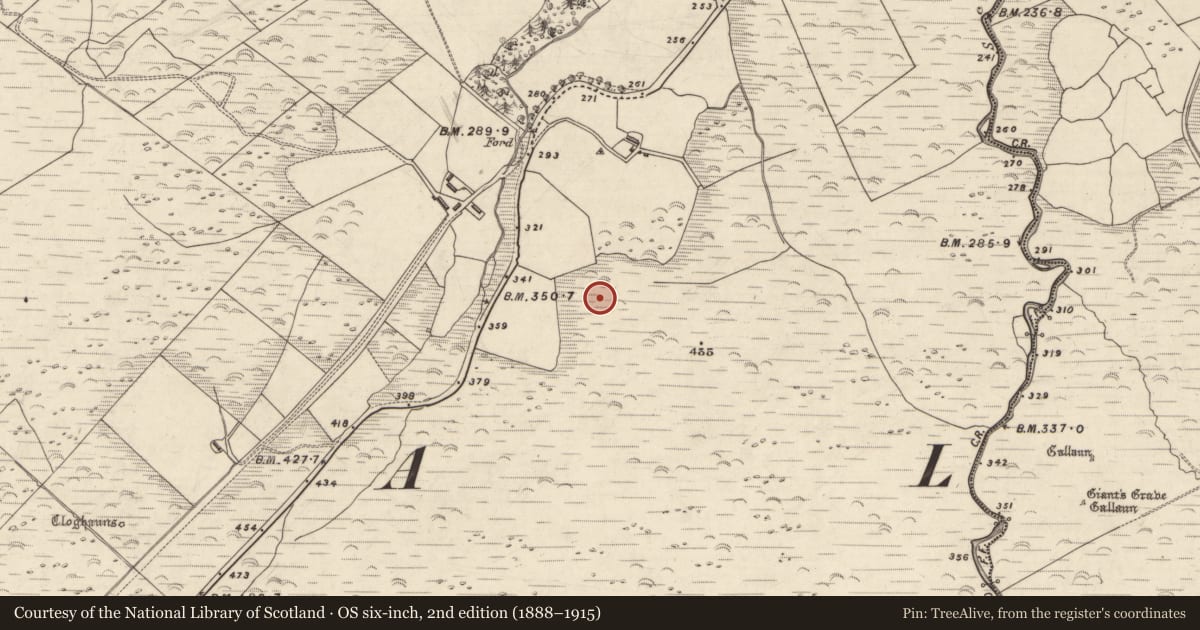 Ordnance Survey six-inch map, 2nd edition (1888–1915) covering the location of Hut site, An Choill Mhór (Bar. Corca Dhuibhne), County Kerry, with a pin at the register's coordinates