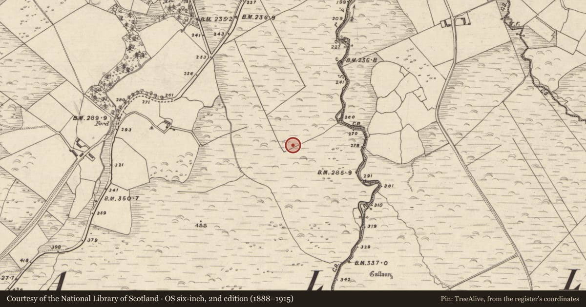 Ordnance Survey six-inch map, 2nd edition (1888–1915) covering the location of Enclosure, An Choill Mhór (Bar. Corca Dhuibhne), County Kerry, with a pin at the register's coordinates