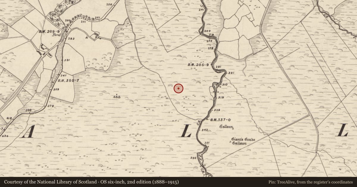 Ordnance Survey six-inch map, 2nd edition (1888–1915) covering the location of Cairn - clearance cairn, An Choill Mhór (Bar. Corca Dhuibhne), County Kerry, with a pin at the register's coordinates