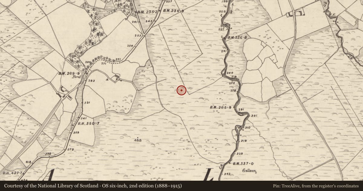 Ordnance Survey six-inch map, 2nd edition (1888–1915) covering the location of Rock art, An Choill Mhór (Bar. Corca Dhuibhne), County Kerry, with a pin at the register's coordinates