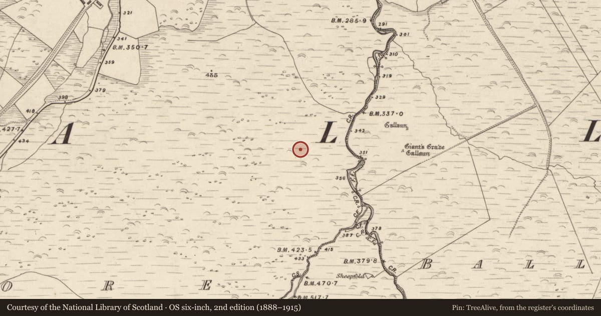 Ordnance Survey six-inch map, 2nd edition (1888–1915) covering the location of Hut site, An Choill Mhór (Bar. Corca Dhuibhne), County Kerry, with a pin at the register's coordinates