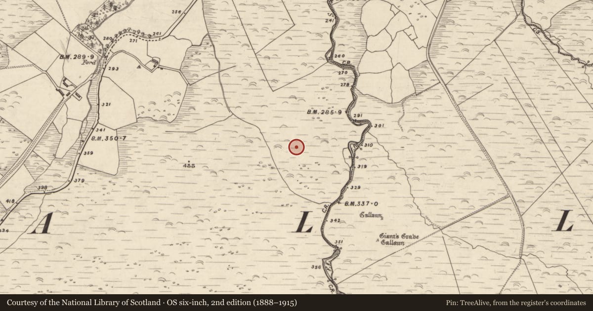Ordnance Survey six-inch map, 2nd edition (1888–1915) covering the location of Cairn - clearance cairn, An Choill Mhór (Bar. Corca Dhuibhne), County Kerry, with a pin at the register's coordinates