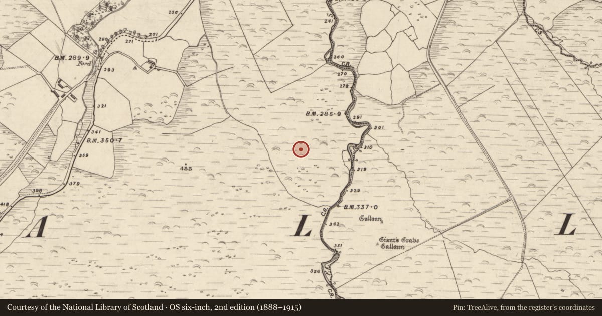 Ordnance Survey six-inch map, 2nd edition (1888–1915) covering the location of Cairn - clearance cairn, An Choill Mhór (Bar. Corca Dhuibhne), County Kerry, with a pin at the register's coordinates