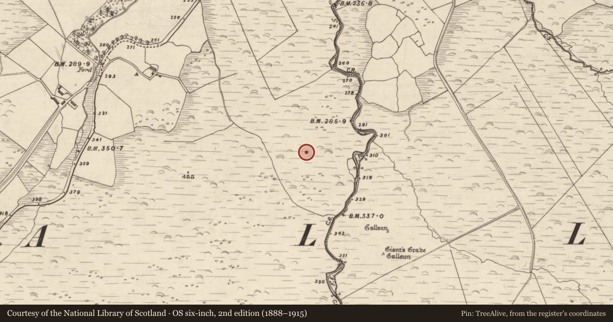 Ordnance Survey six-inch map, 2nd edition (1888–1915) covering the location of Cairn - clearance cairn, An Choill Mhór (Bar. Corca Dhuibhne), County Kerry, with a pin at the register's coordinates