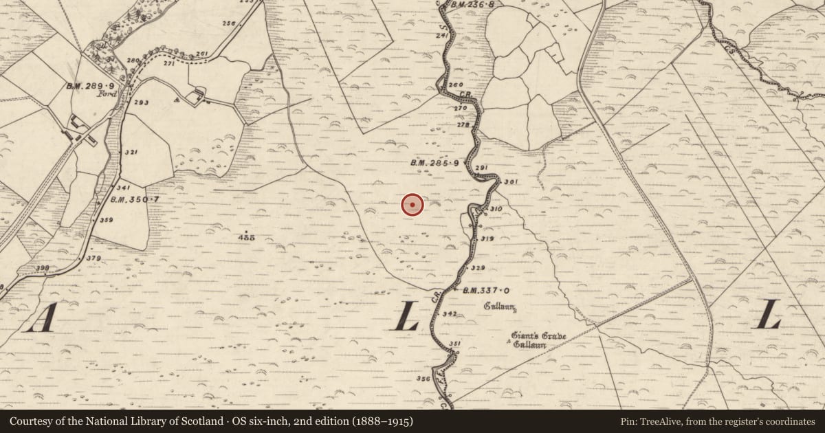 Ordnance Survey six-inch map, 2nd edition (1888–1915) covering the location of Cairn - clearance cairn, An Choill Mhór (Bar. Corca Dhuibhne), County Kerry, with a pin at the register's coordinates