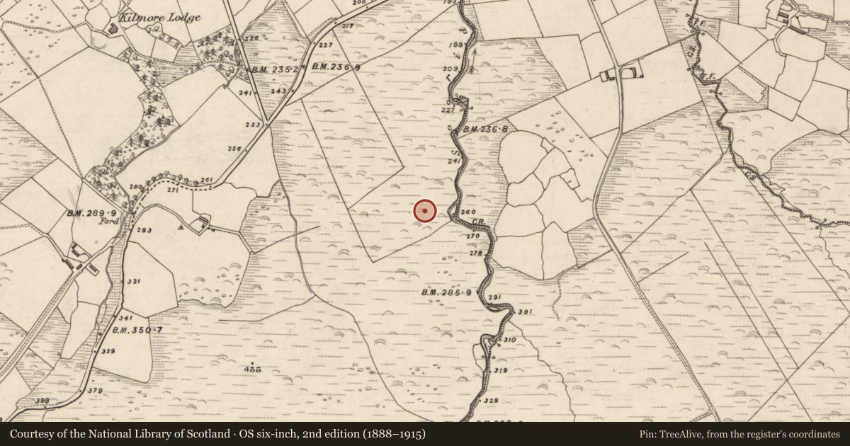 Ordnance Survey six-inch map, 2nd edition (1888–1915) covering the location of Hut site, An Choill Mhór (Bar. Corca Dhuibhne), County Kerry, with a pin at the register's coordinates
