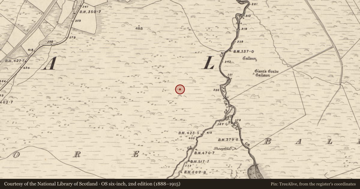 Ordnance Survey six-inch map, 2nd edition (1888–1915) covering the location of Fulacht fia, An Choill Mhór (Bar. Corca Dhuibhne), County Kerry, with a pin at the register's coordinates