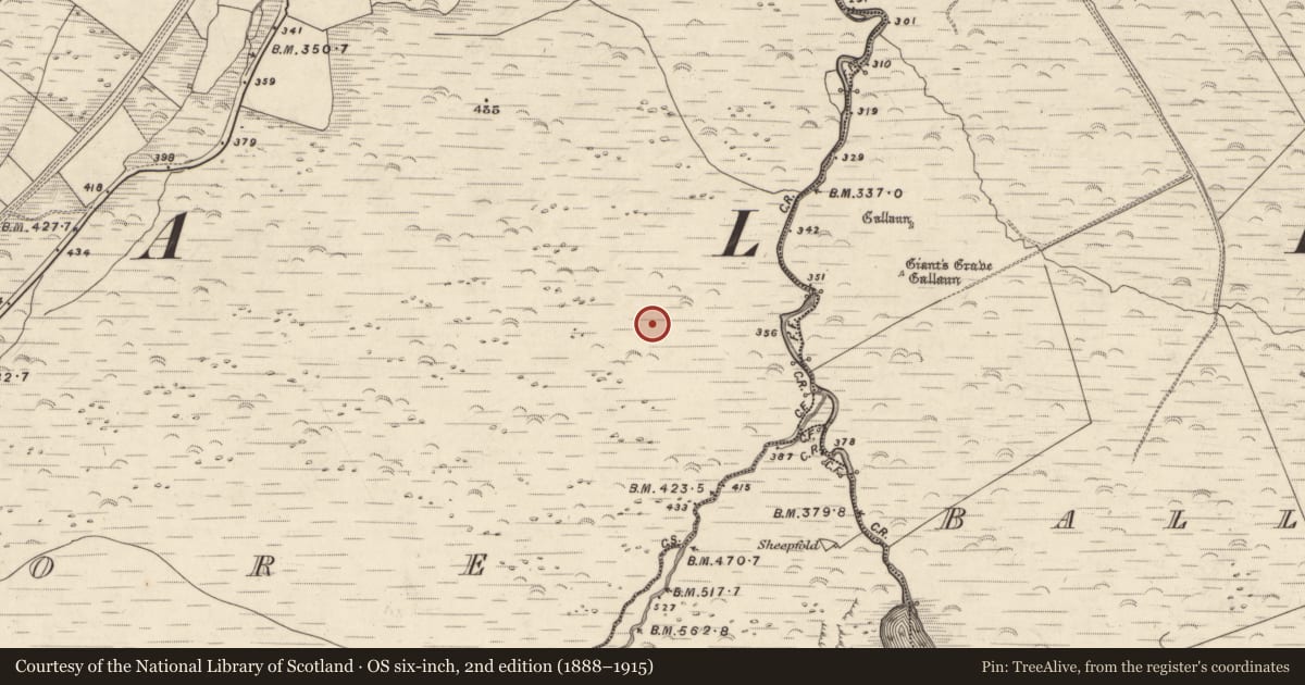 Ordnance Survey six-inch map, 2nd edition (1888–1915) covering the location of Fulacht fia, An Choill Mhór (Bar. Corca Dhuibhne), County Kerry, with a pin at the register's coordinates