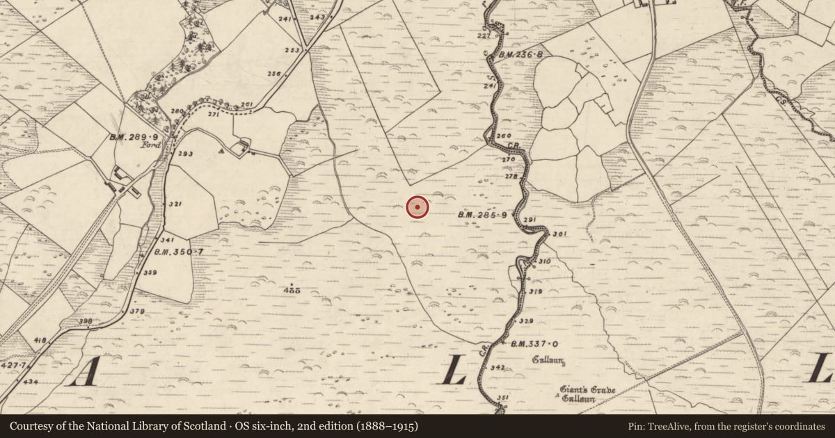 Ordnance Survey six-inch map, 2nd edition (1888–1915) covering the location of Rock art, An Choill Mhór (Bar. Corca Dhuibhne), County Kerry, with a pin at the register's coordinates