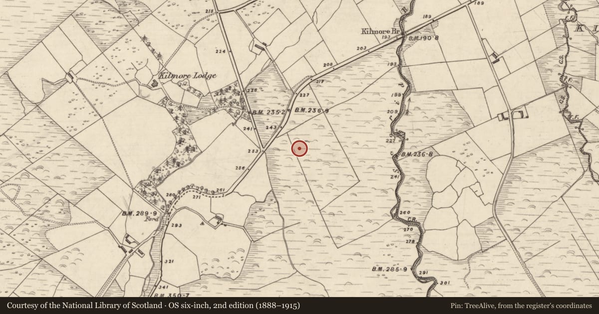 Ordnance Survey six-inch map, 2nd edition (1888–1915) covering the location of Rock art, An Choill Mhór (Bar. Corca Dhuibhne), County Kerry, with a pin at the register's coordinates