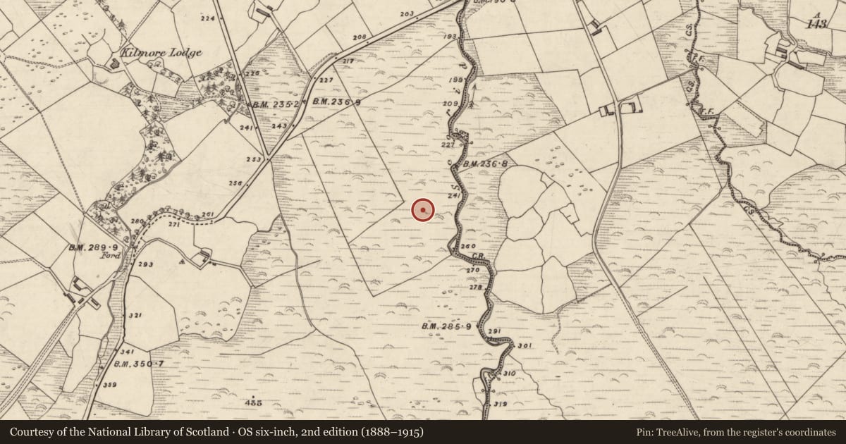 Ordnance Survey six-inch map, 2nd edition (1888–1915) covering the location of Rock art, An Choill Mhór (Bar. Corca Dhuibhne), County Kerry, with a pin at the register's coordinates