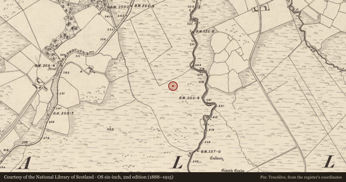 Ordnance Survey six-inch map, 2nd edition (1888–1915) covering the location of Rock art, Kilmore, County Kerry, with a pin at the register's coordinates