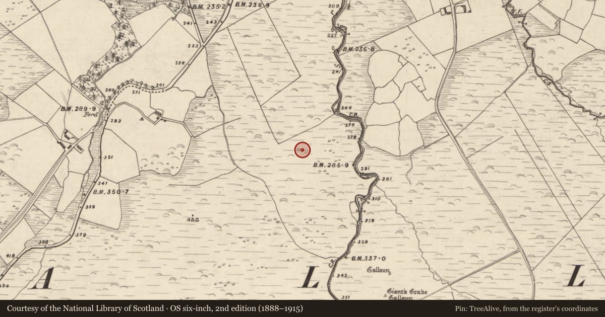 Ordnance Survey six-inch map, 2nd edition (1888–1915) covering the location of Rock art, An Choill Mhór (Bar. Corca Dhuibhne), County Kerry, with a pin at the register's coordinates