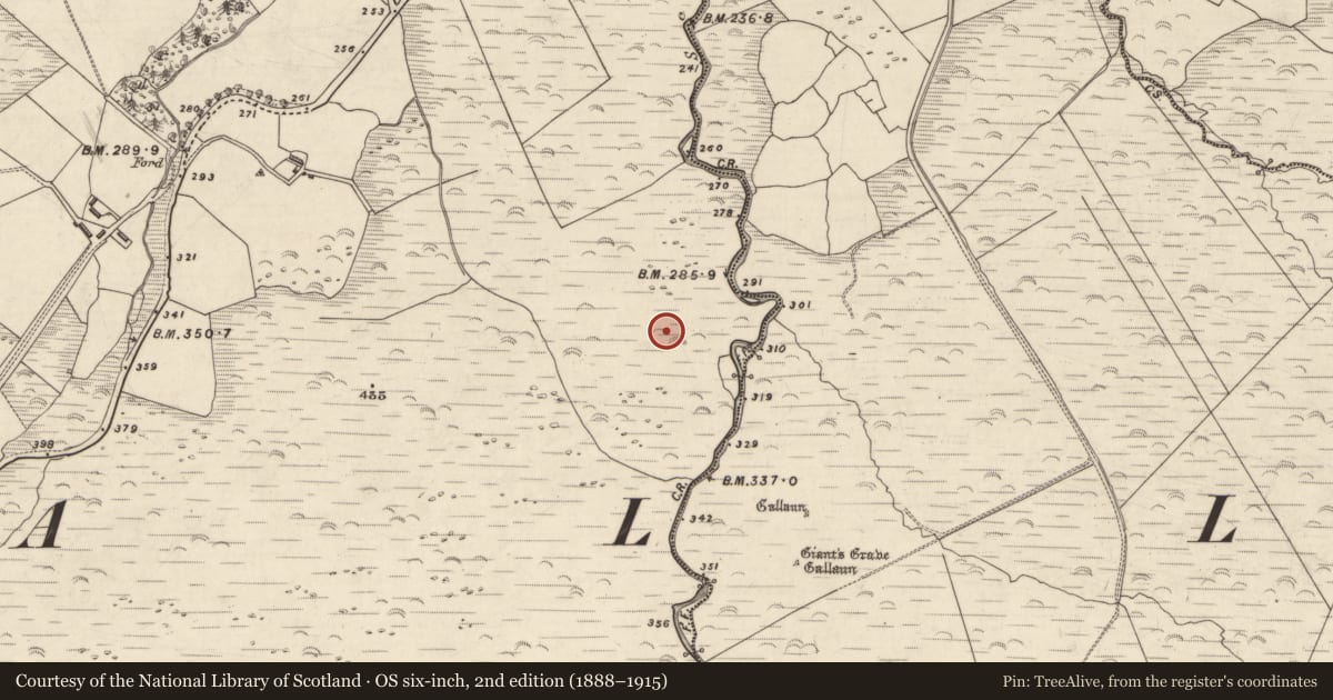 Ordnance Survey six-inch map, 2nd edition (1888–1915) covering the location of Hut site, An Choill Mhór (Bar. Corca Dhuibhne), County Kerry, with a pin at the register's coordinates