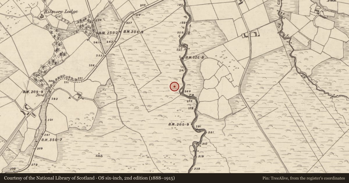 Ordnance Survey six-inch map, 2nd edition (1888–1915) covering the location of Hut site, An Choill Mhór (Bar. Corca Dhuibhne), County Kerry, with a pin at the register's coordinates