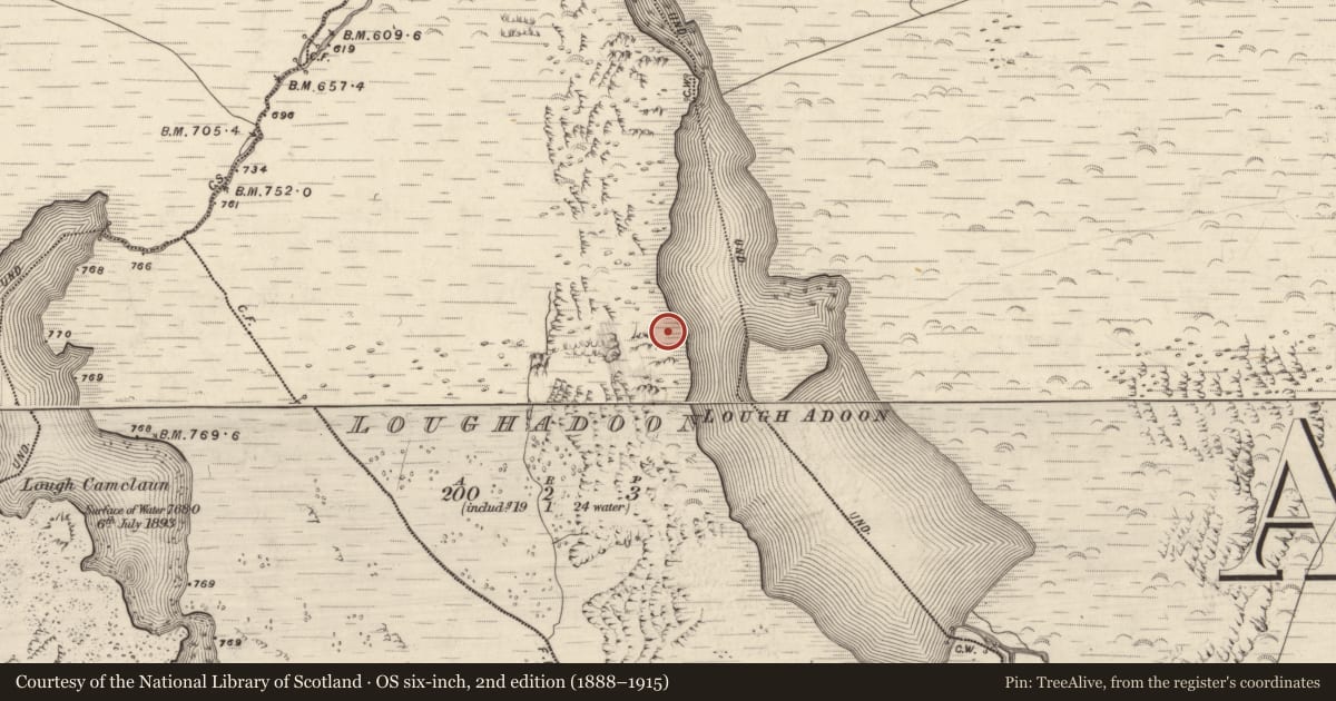 Ordnance Survey six-inch map, 2nd edition (1888–1915) covering the location of Rock art, Loch An Dúin, County Kerry, with a pin at the register's coordinates