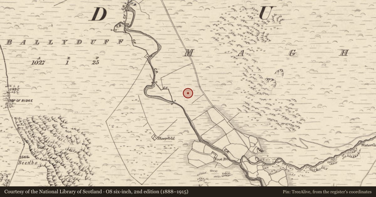Ordnance Survey six-inch map, 2nd edition (1888–1915) covering the location of Hut site, Maghanaboe, County Kerry, with a pin at the register's coordinates