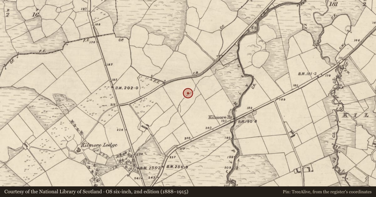 Ordnance Survey six-inch map, 2nd edition (1888–1915) covering the location of Fulacht fia, An Choill Mhór (Bar. Corca Dhuibhne), County Kerry, with a pin at the register's coordinates