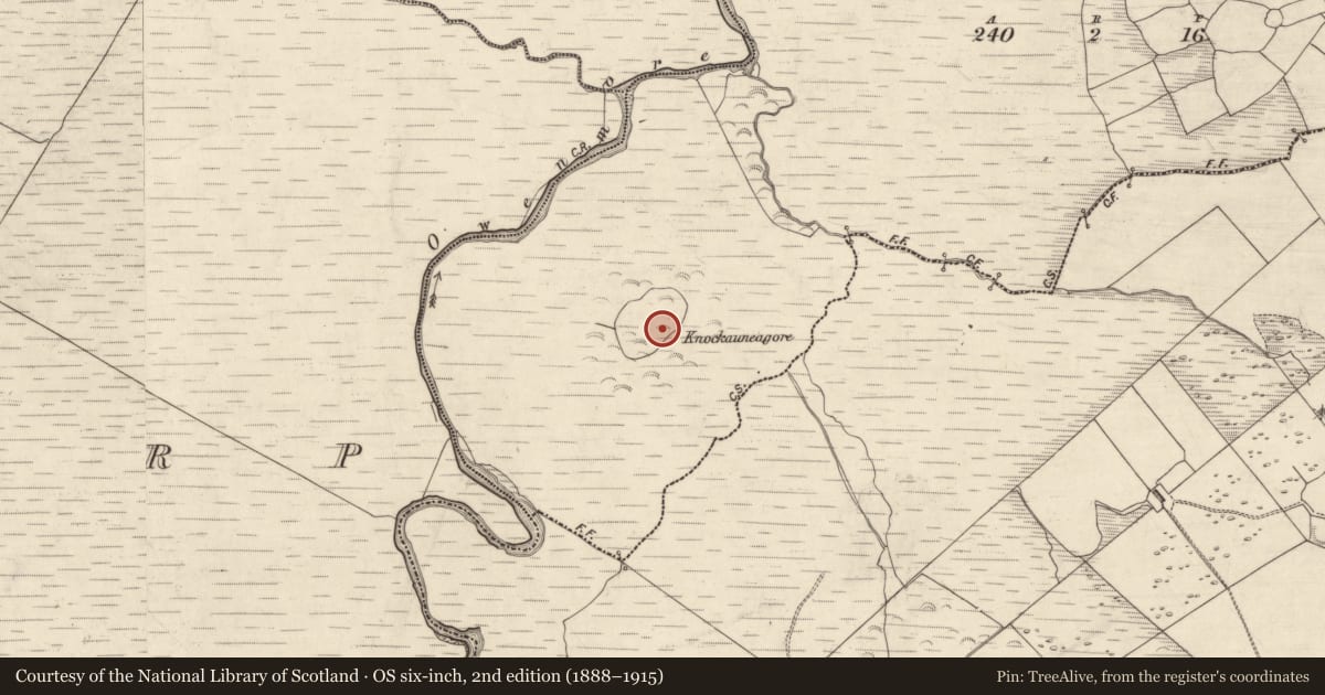 Ordnance Survey six-inch map, 2nd edition (1888–1915) covering the location of Field system, Lios Na Mbóbhán, County Kerry, with a pin at the register's coordinates