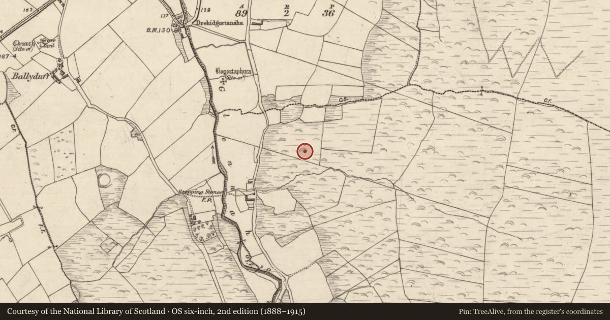 Ordnance Survey six-inch map, 2nd edition (1888–1915) covering the location of Souterrain, Gleann Na Huamha (Bar. Corca Dhuibhne, Baile Dubh), County Kerry, with a pin at the register's coordinates