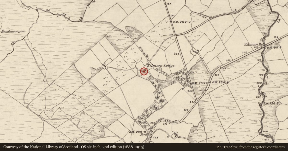 Ordnance Survey six-inch map, 2nd edition (1888–1915) covering the location of Fulacht fia, An Choill Mhór (Bar. Corca Dhuibhne), County Kerry, with a pin at the register's coordinates