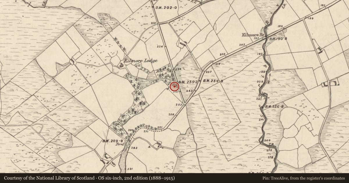 Ordnance Survey six-inch map, 2nd edition (1888–1915) covering the location of Fulacht fia, An Choill Mhór (Bar. Corca Dhuibhne), County Kerry, with a pin at the register's coordinates