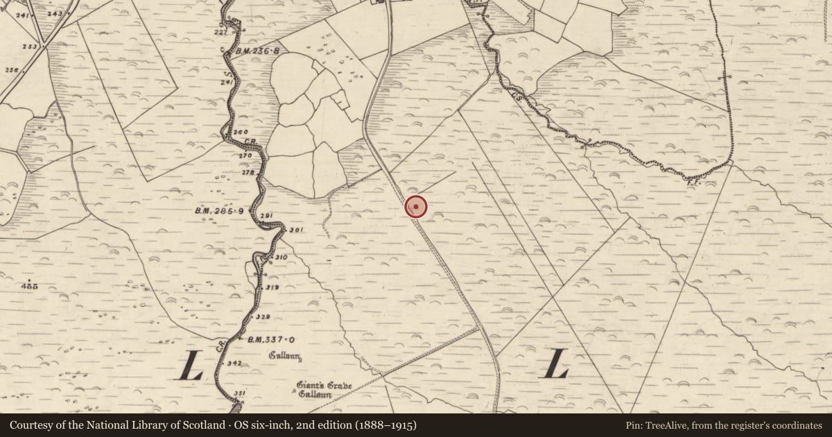Ordnance Survey six-inch map, 2nd edition (1888–1915) covering the location of Fulacht fia, Baile Uí Uaithnín, County Kerry, with a pin at the register's coordinates