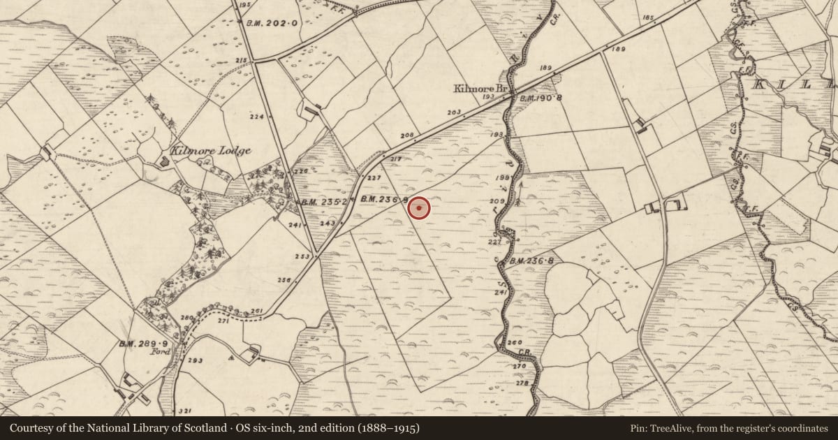 Ordnance Survey six-inch map, 2nd edition (1888–1915) covering the location of Fulacht fia, An Choill Mhór (Bar. Corca Dhuibhne), County Kerry, with a pin at the register's coordinates