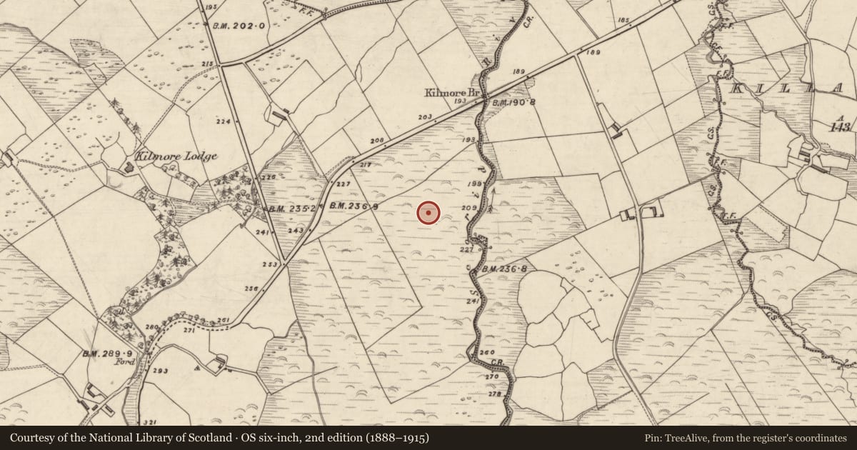 Ordnance Survey six-inch map, 2nd edition (1888–1915) covering the location of Fulacht fia, An Choill Mhór (Bar. Corca Dhuibhne), County Kerry, with a pin at the register's coordinates