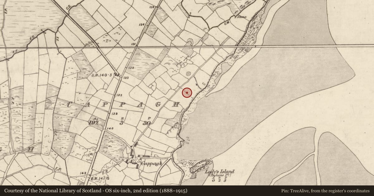 Ordnance Survey six-inch map, 2nd edition (1888–1915) covering the location of Fulacht fia, An Cheapaigh, County Kerry, with a pin at the register's coordinates