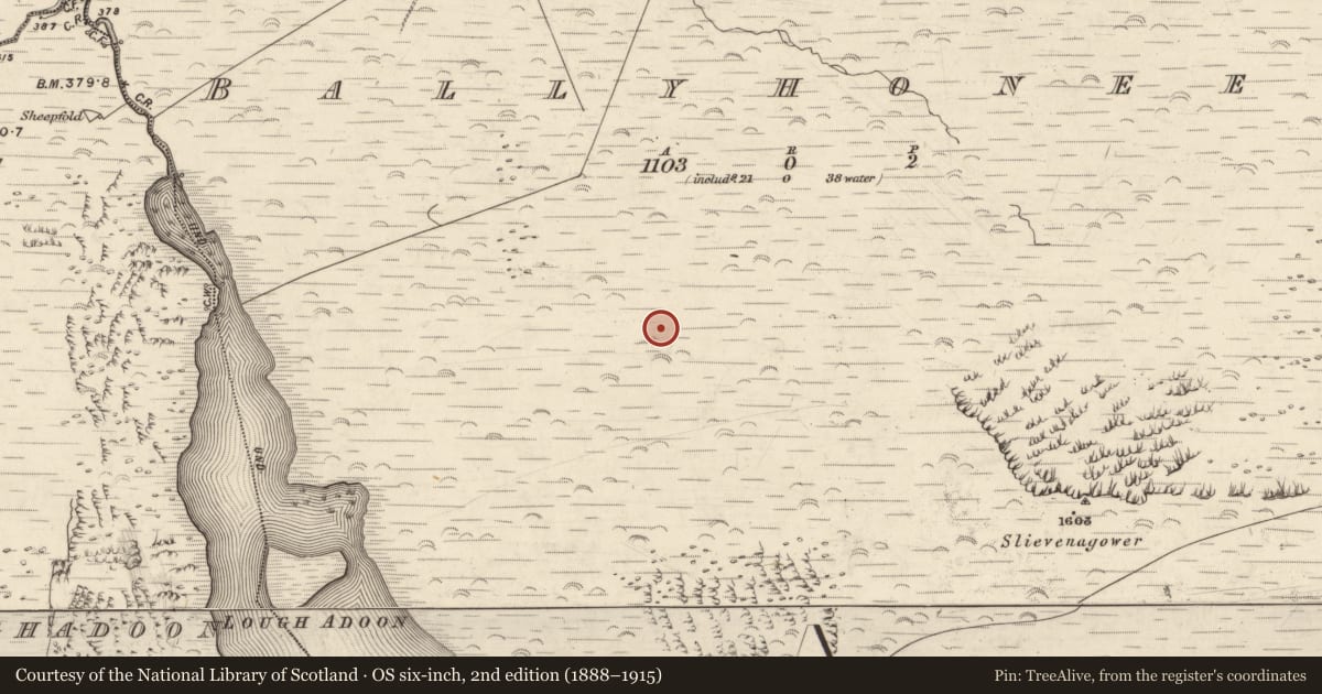 Ordnance Survey six-inch map, 2nd edition (1888–1915) covering the location of Hut site, Baile Uí Uaithnín, County Kerry, with a pin at the register's coordinates