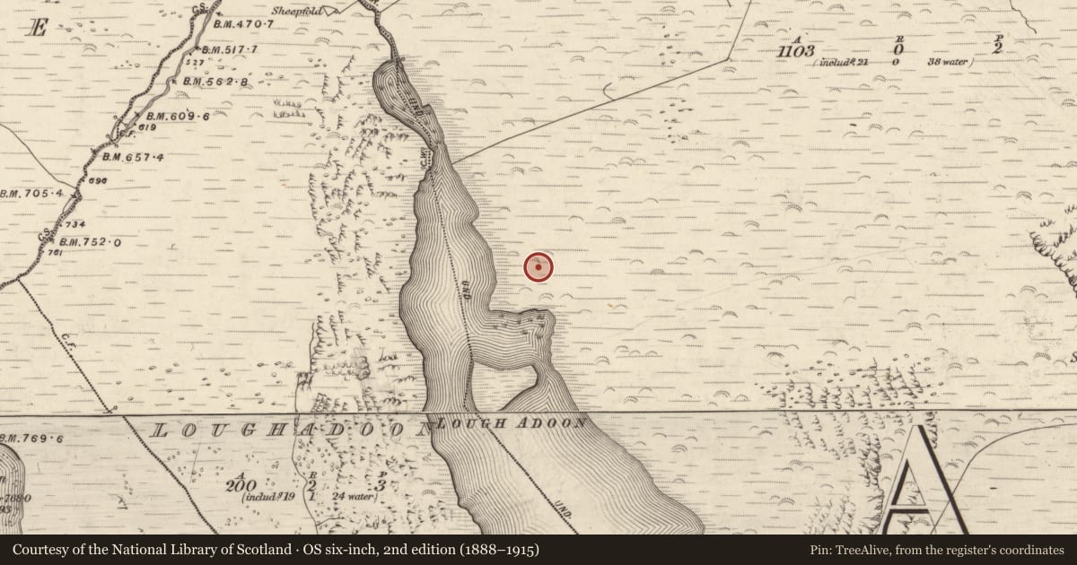 Ordnance Survey six-inch map, 2nd edition (1888–1915) covering the location of Hut site, Baile Uí Uaithnín, County Kerry, with a pin at the register's coordinates