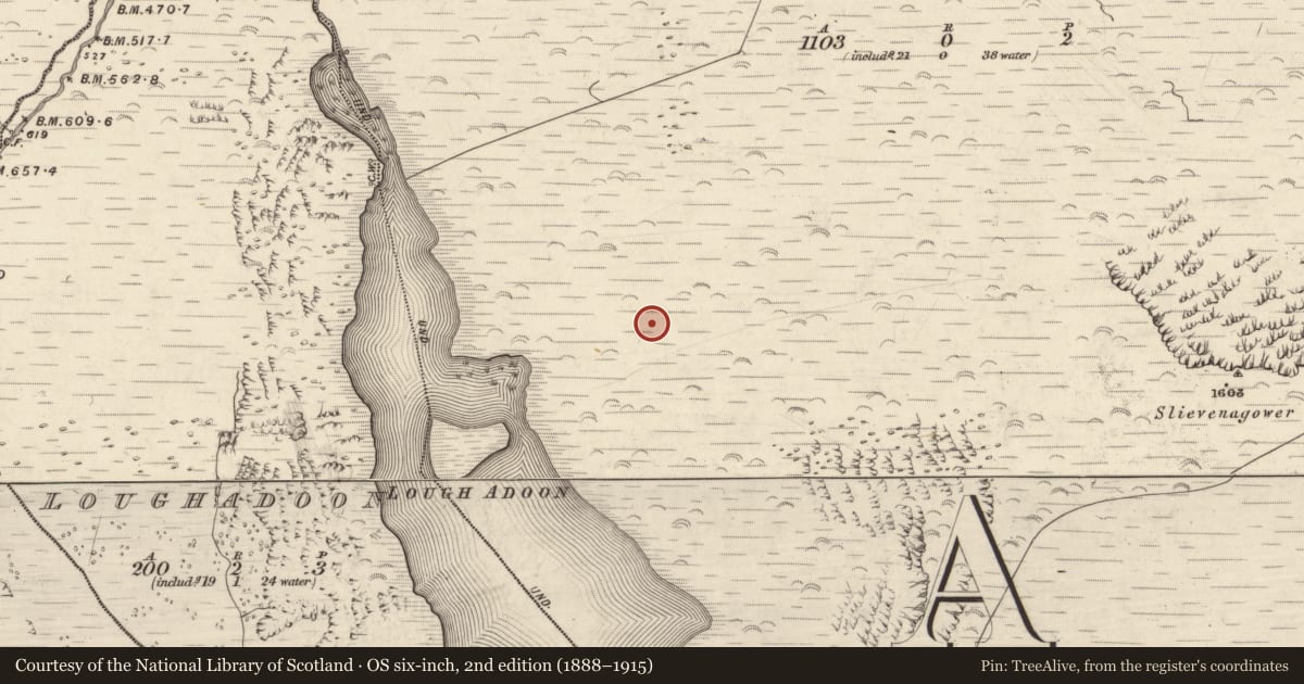 Ordnance Survey six-inch map, 2nd edition (1888–1915) covering the location of Rock art, Baile Uí Uaithnín, County Kerry, with a pin at the register's coordinates