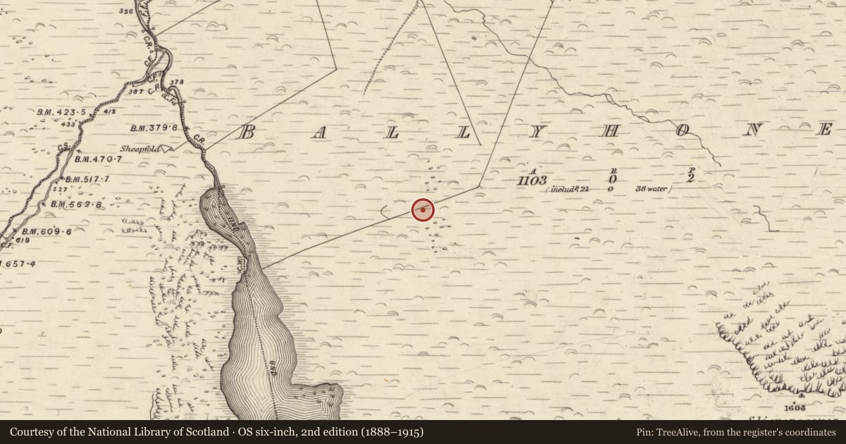 Ordnance Survey six-inch map, 2nd edition (1888–1915) covering the location of Hut site, Baile Uí Uaithnín, County Kerry, with a pin at the register's coordinates